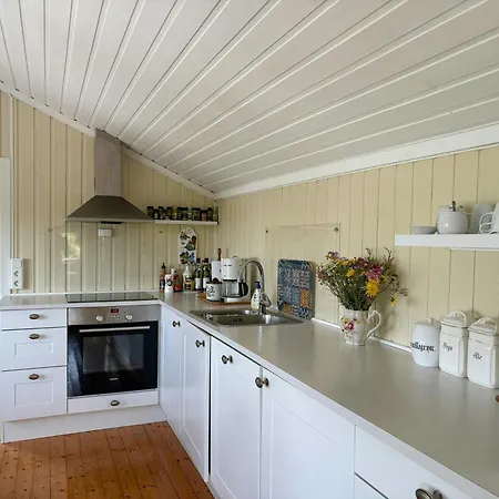 On Natural Plot In Hvaler Archipelago