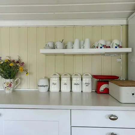 On Natural Plot In Hvaler Archipelago * Skjærhollen