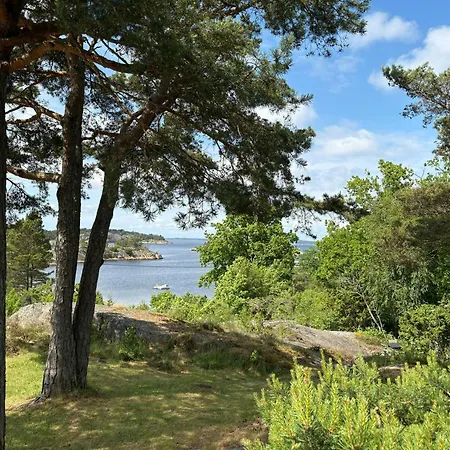On Natural Plot In Hvaler Archipelago Skjærhollen