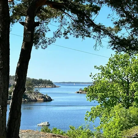 On Natural Plot In Hvaler Archipelago